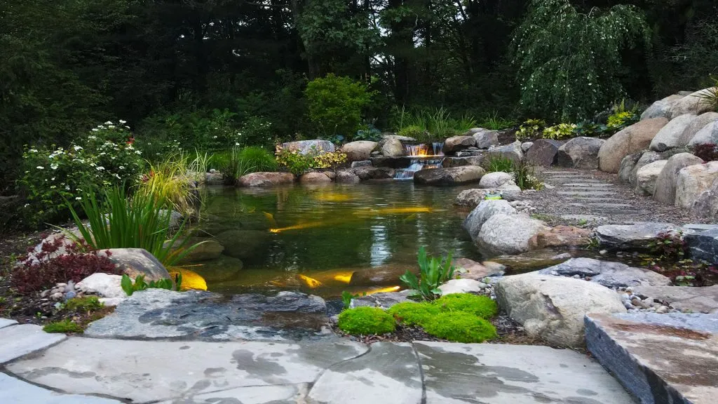 Tranquil garden pond with waterfall and rocks.